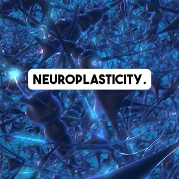 Age Range of the Program