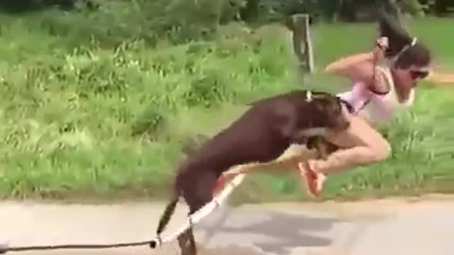 Very funny video