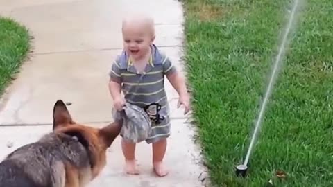 Baby & dog is playing with water | cute baby