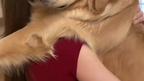 Remaking my golden retriever puppy videos 1 year later