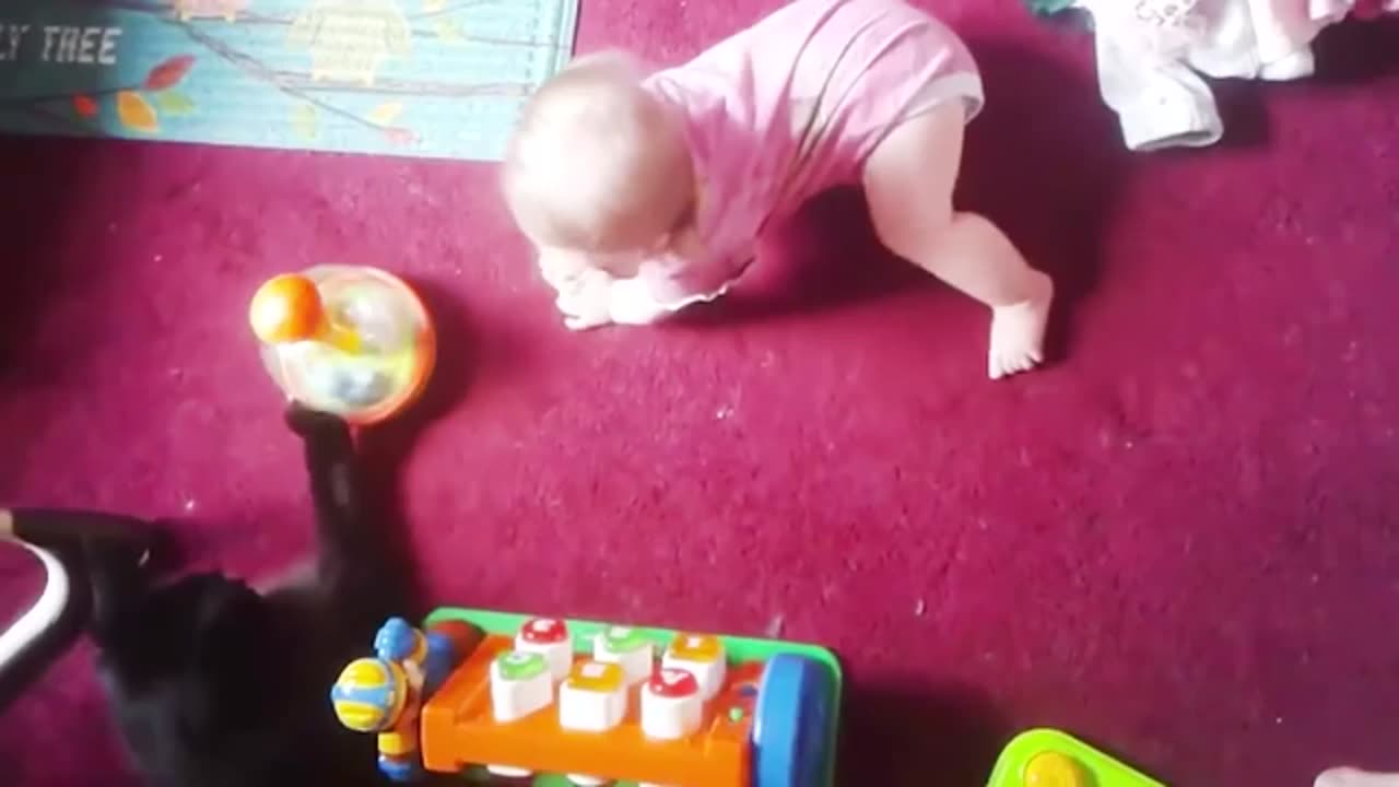 Babies and Pet Funny Video