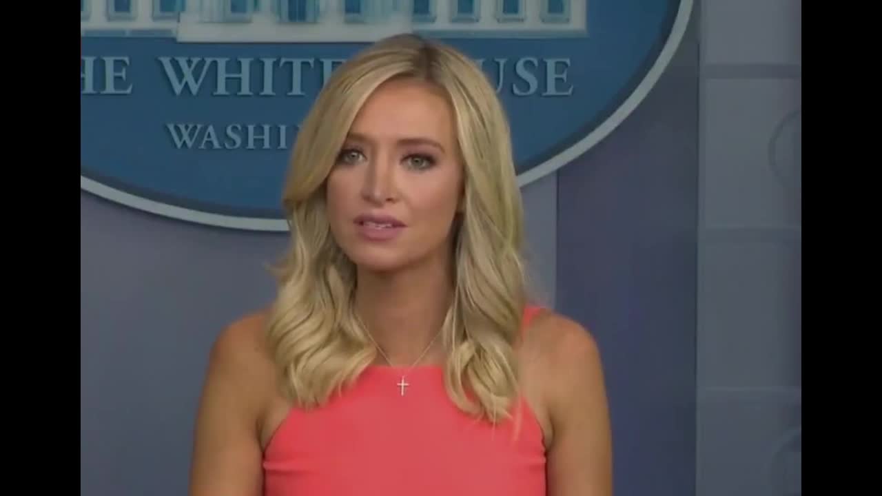 Kayleigh McEnany Blasts New York Times, Suggests "They Hand Back Their Pultizers"