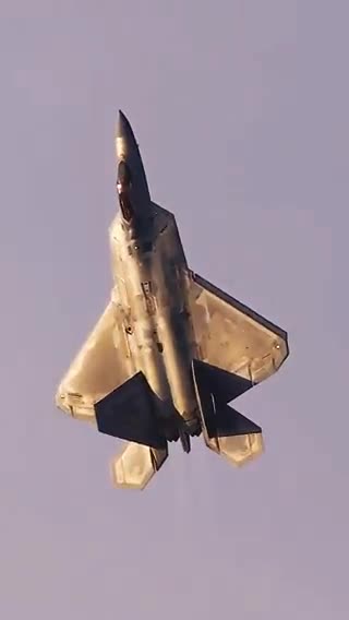 Dan Scavino Jr.🇺🇸🦅