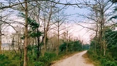Awesome view vlogs