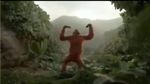 Monkey funny dance