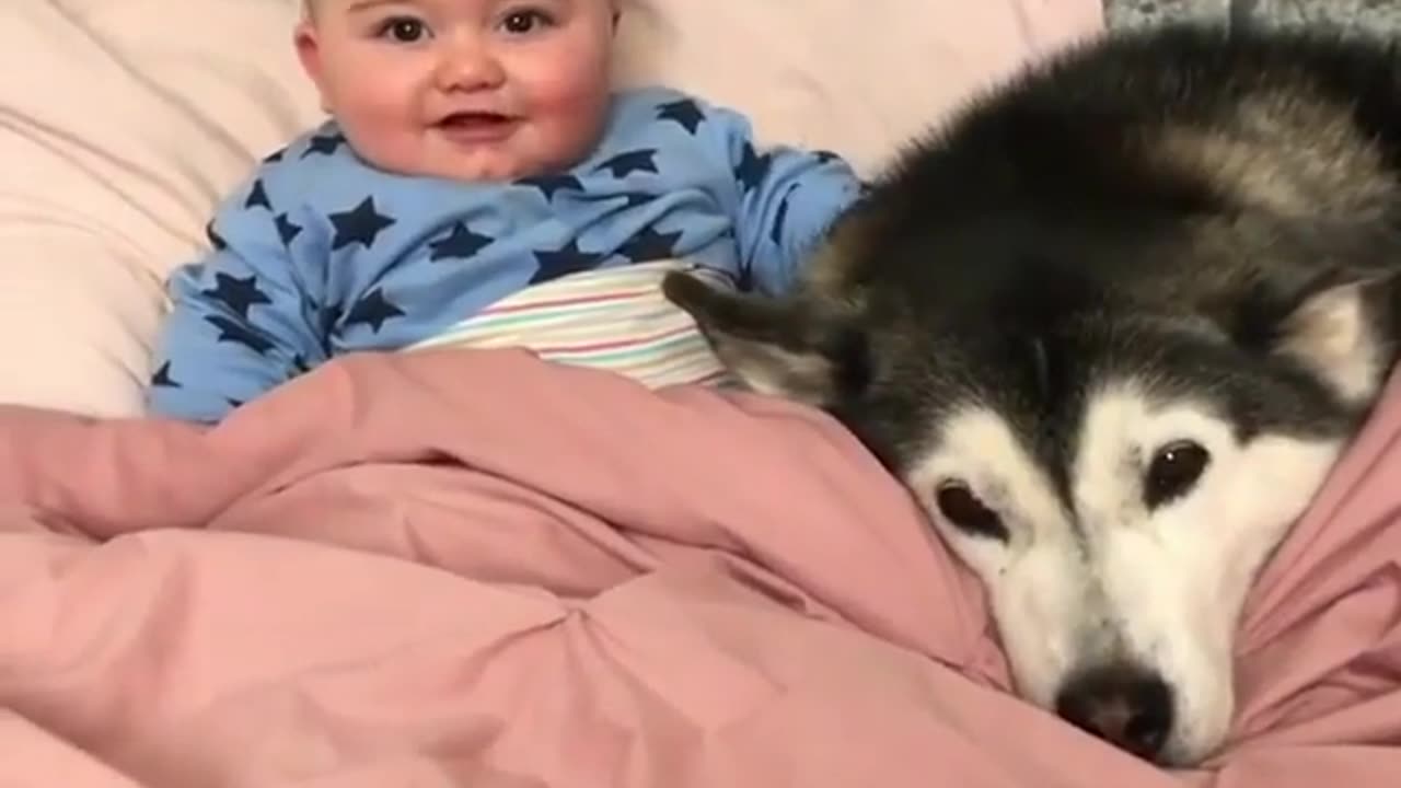 dog sleeping with baby