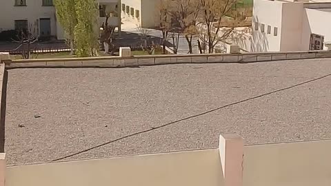 منظر مشمس