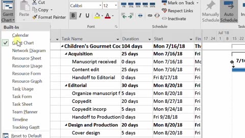Day 02 Lecture- MS Project