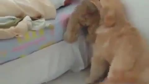 So much happiness in the morning 🙏🐶