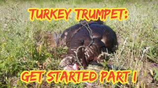 Turkey Trumpets: Get Started Part I