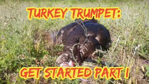 Turkey Trumpets: Get Started Part I