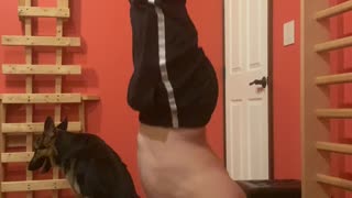 Handstand Pushups - Calisthenics Training