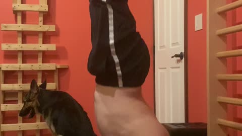 Handstand Pushups - Calisthenics Training