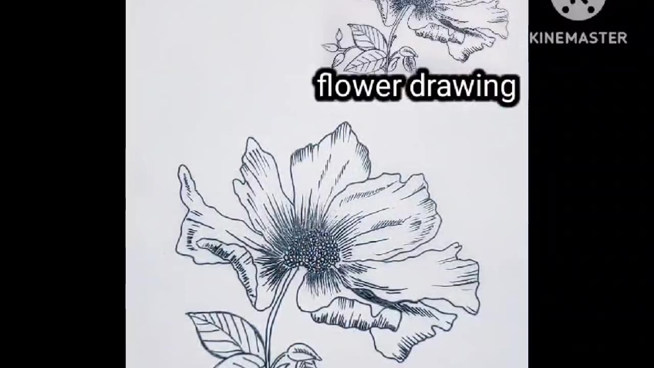 Flower drawing