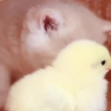 🥰🥰🥰🥰🥰🥰🥰