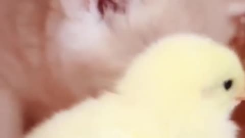 🥰🥰🥰🥰🥰🥰🥰