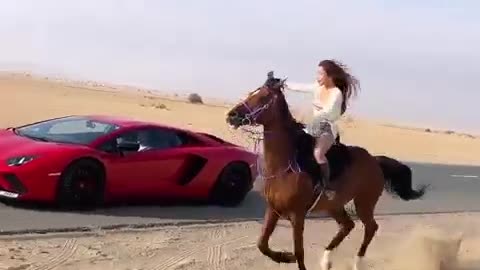 Dubai horse rider 😍