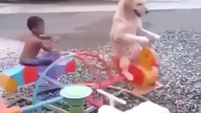 Labrador is playing spin car with baby