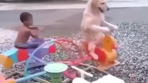 Labrador is playing spin car with baby