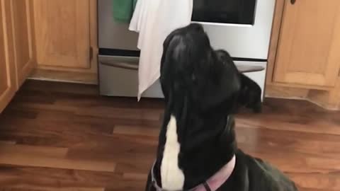 Catching her treat