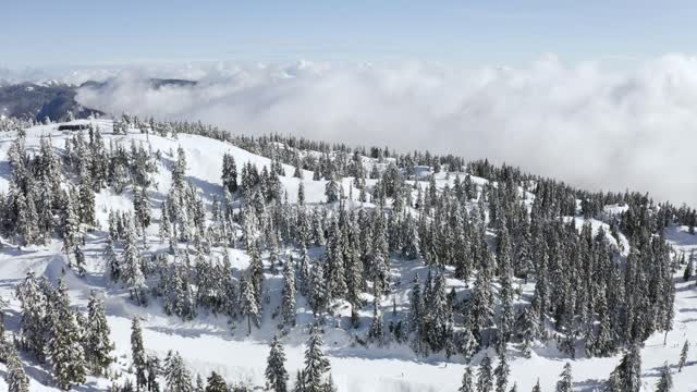 Beautiful snow-covered grassland