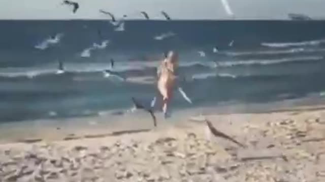 The herons surrounded the girl on the beach 🤣🤣 funny