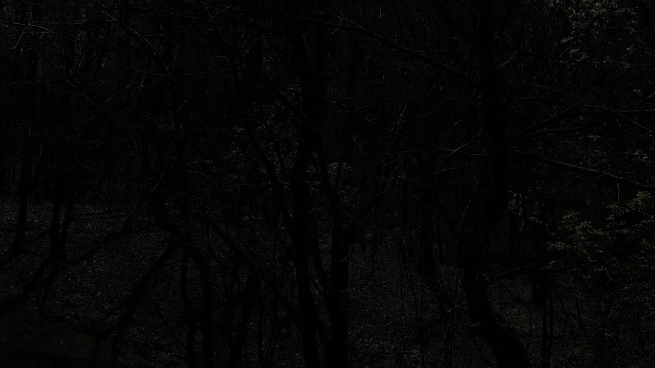 Eclipse - April 8, 2024 - Part 2