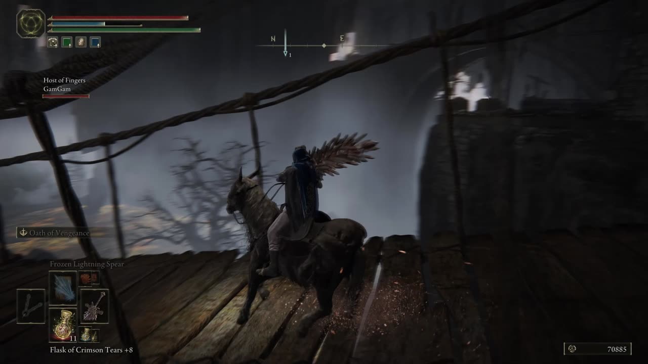 Elden Ring- fell off the bridge.