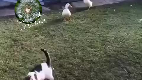 🤣