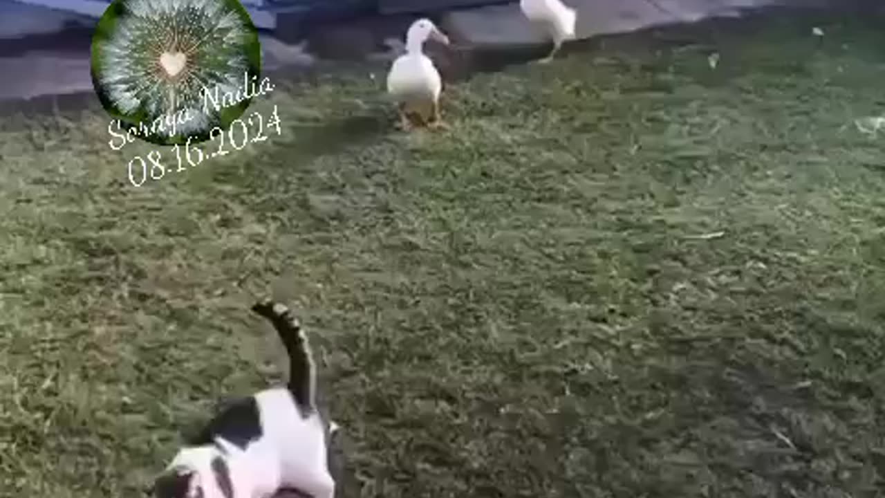 🤣