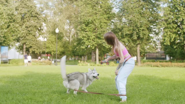 Cute dog training video