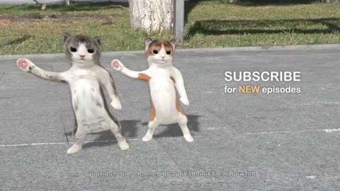 Funny animation cat dancing!!