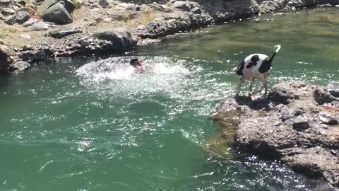 Guy Pretending to Drown Gets Help From His Dog