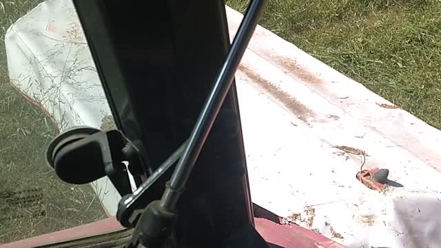 Mowing hay