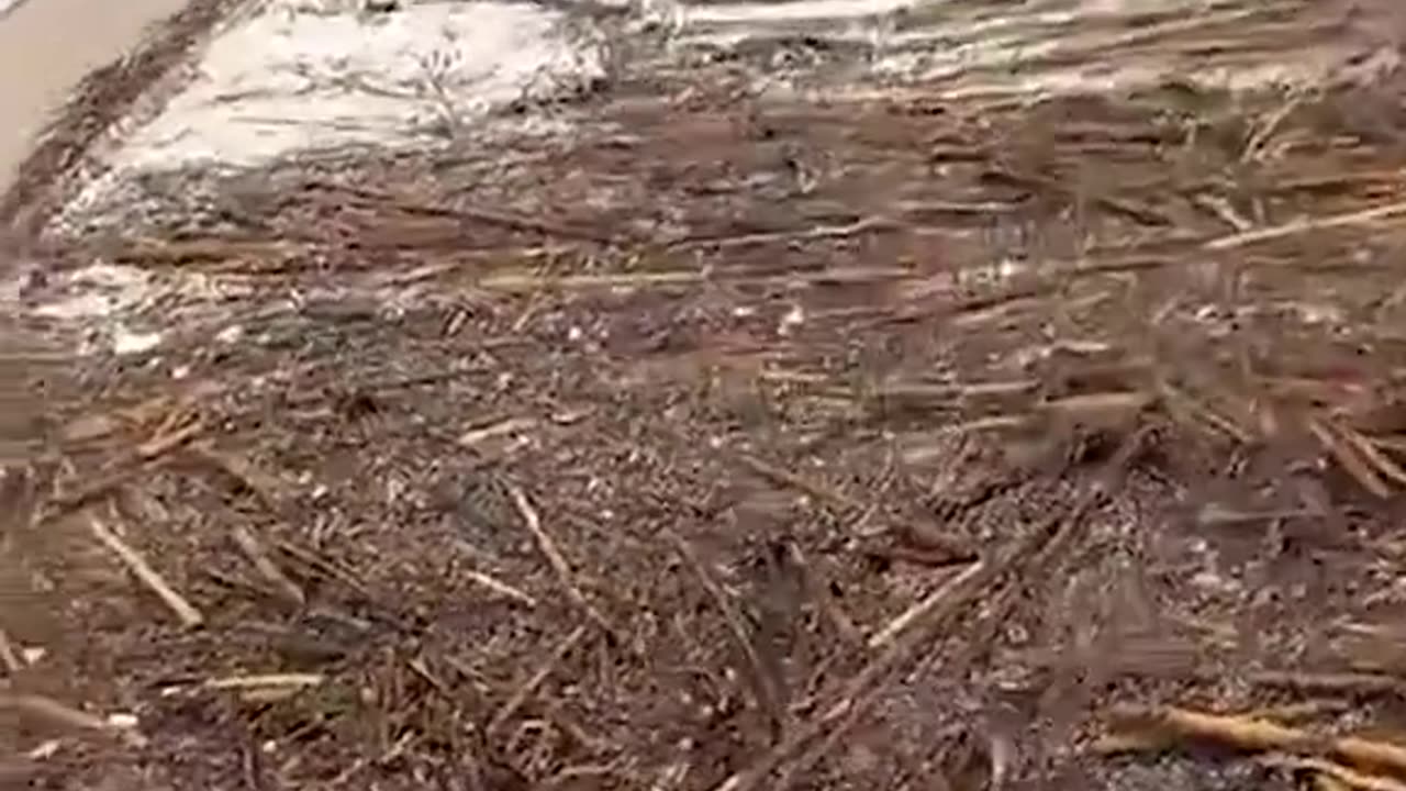 Tornado sends debris flying on Malaga beach & roads severely flooded