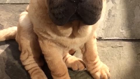 Just sitting here