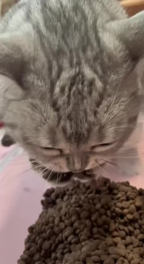 Breaking the diet plans 😂