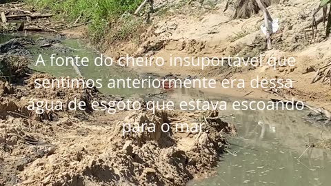 GRAVE: Poluição Escancarada na Praia da Tainha em Bombinhas! (Vídeo completo no YouTube)