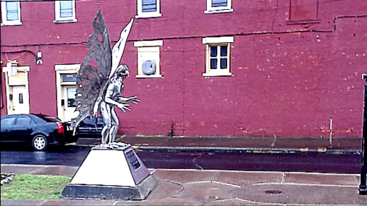 A Rainy Day at the Mothman Statue