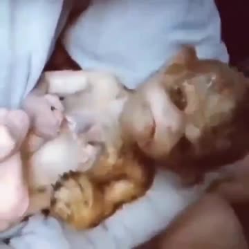 entstellende Darstellung eines Klons