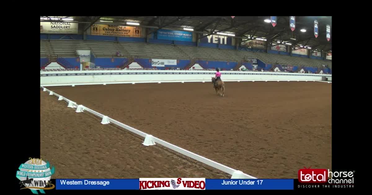 2021 Class 3 WDAA Western Dressage Suitability Walk Jog Lop | Junior Rider