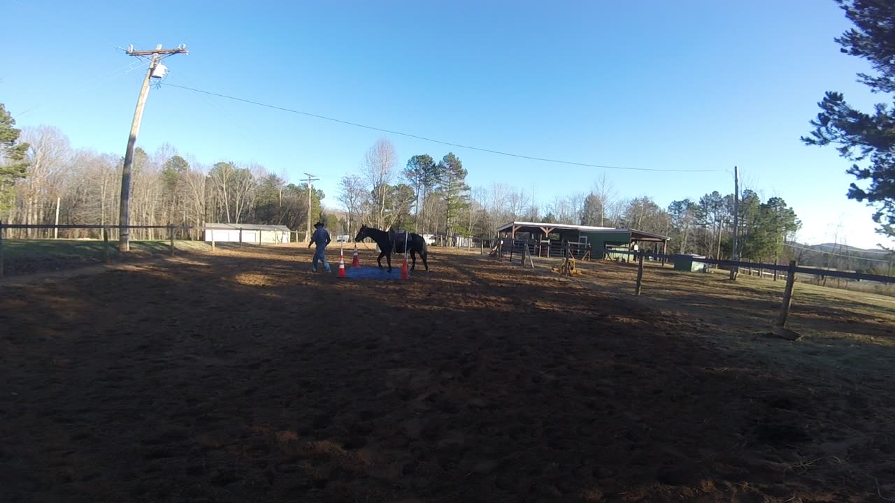 Part Time Cowboy - Introducing Harley to the dreadful tarp