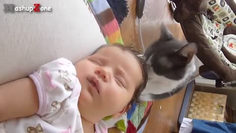 OMG Cute dogs and babies compilation 2021