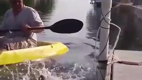 Best Funny Video Clips 2021