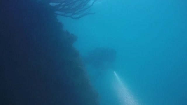 Bermuda Belle Wreck and the Taifun wreck