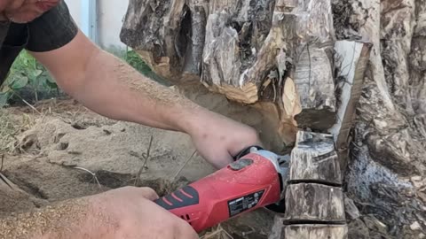 Watch me work Therapy Stump Carving Part 2