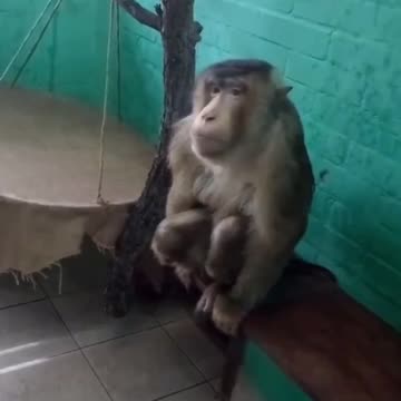 I am not entertaining anyone 🤣