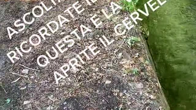 Le bugie..