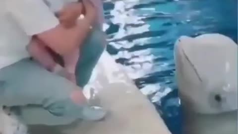 CUTE BABY VIDEO | #Shorts