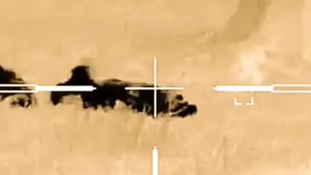 Wild Animals Hunting